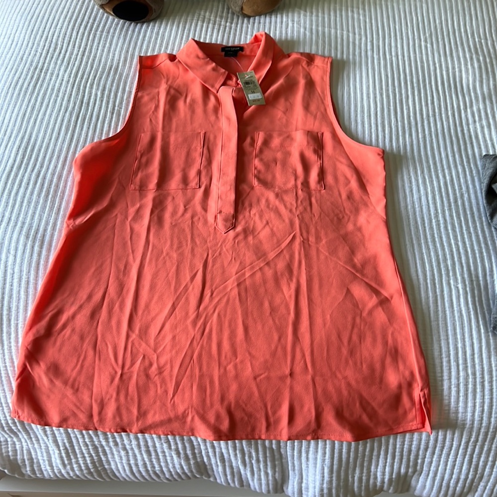 Ann Taylor top